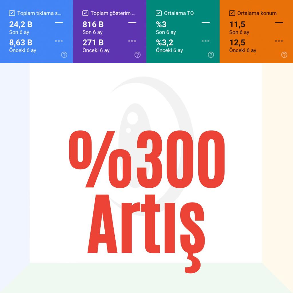 %300 BÜYÜME