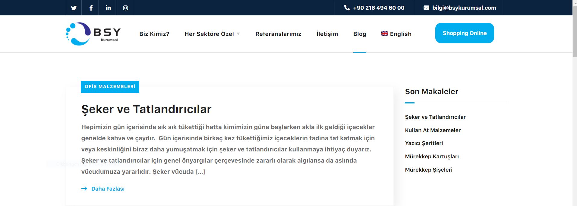 WEB SİTE - SEO