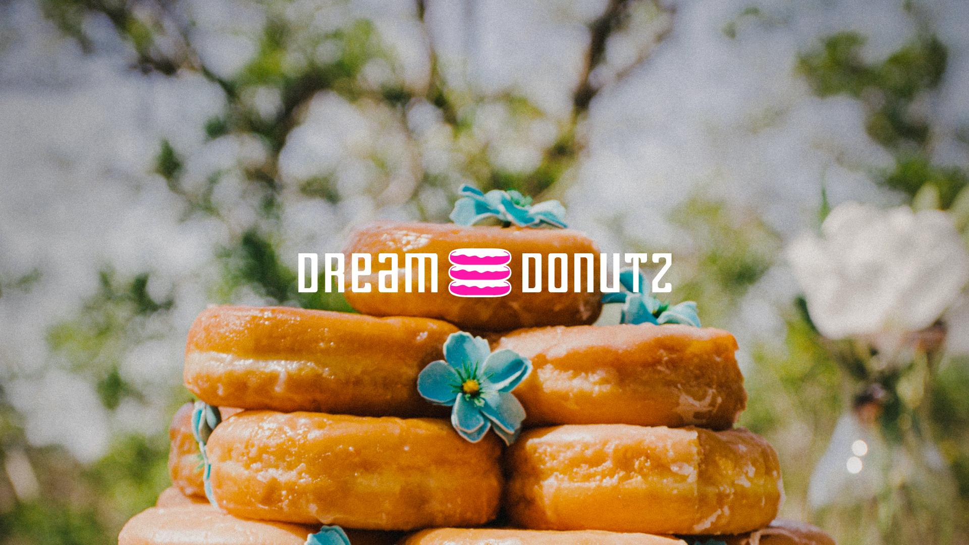 Dream Donutz