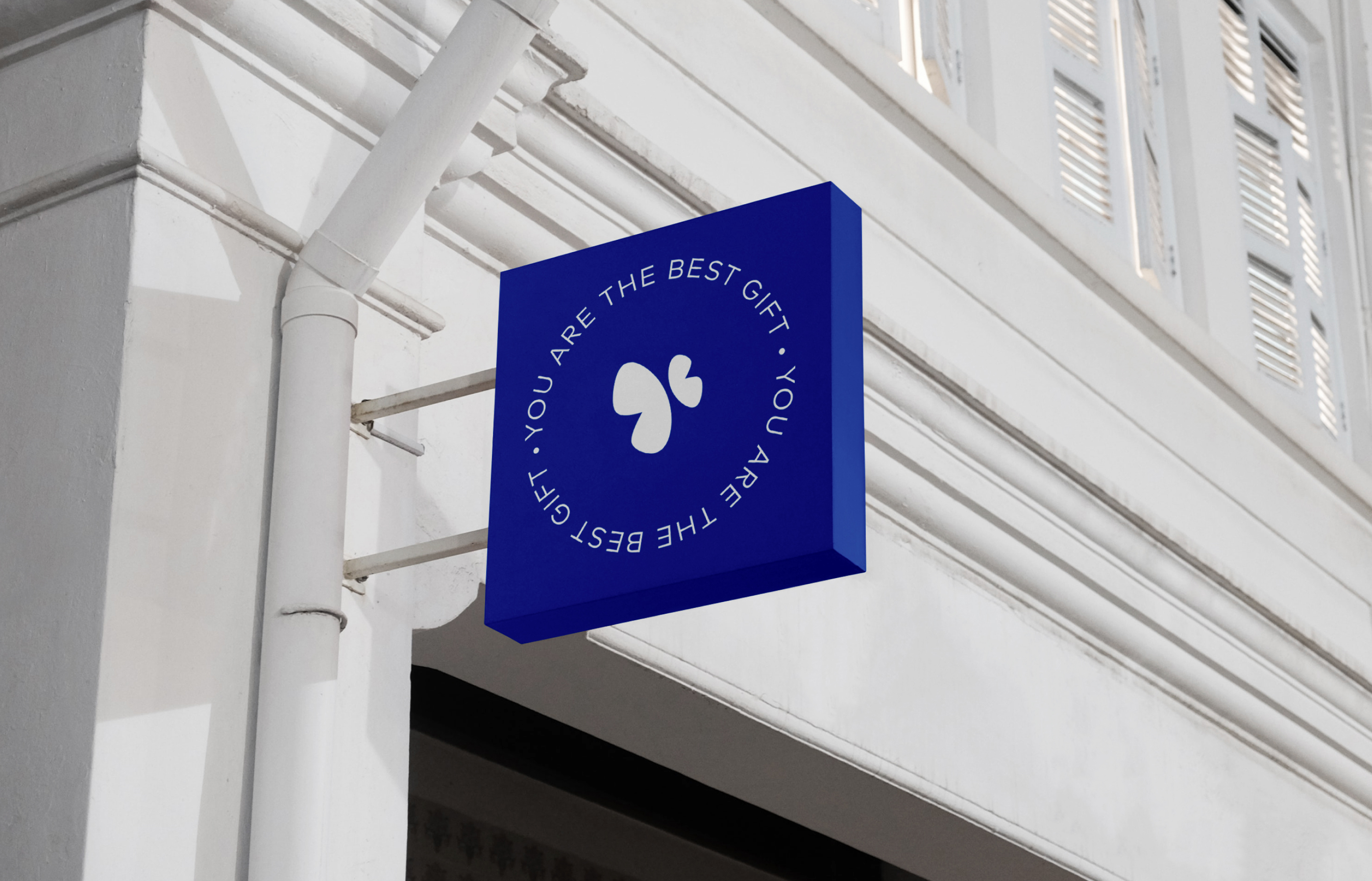 Taze Çiçek : Branding