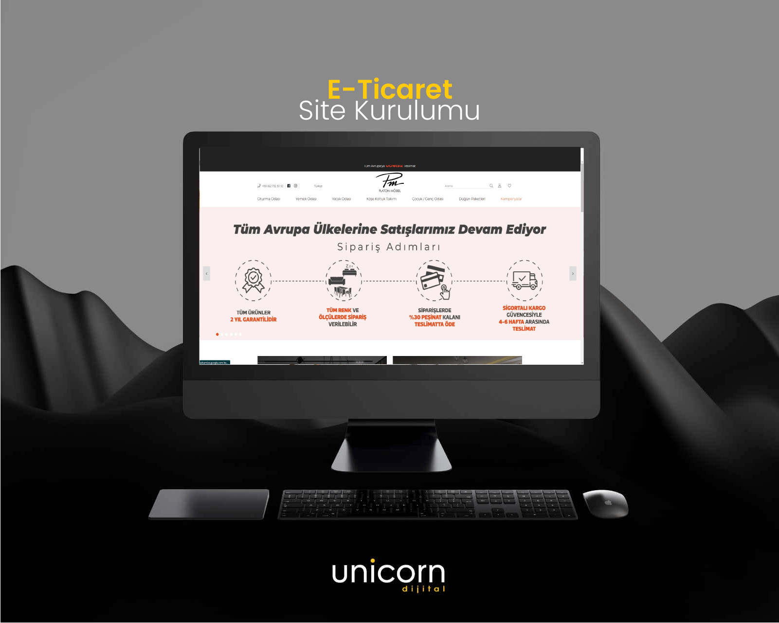 E-Ticaret Site Kurulumu ve Yönetimi