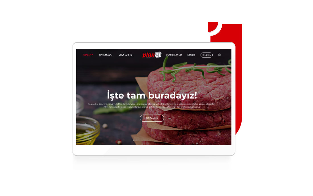 Planet web sitesi tasarımı