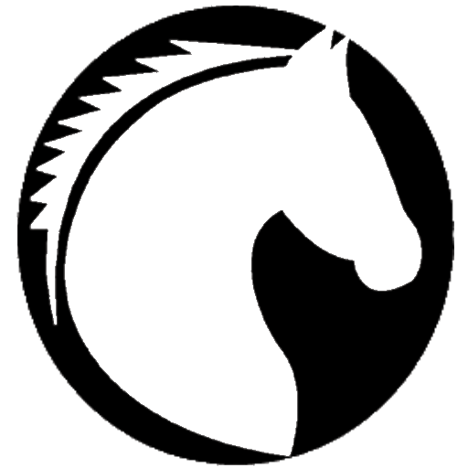 strategyworks Consulting