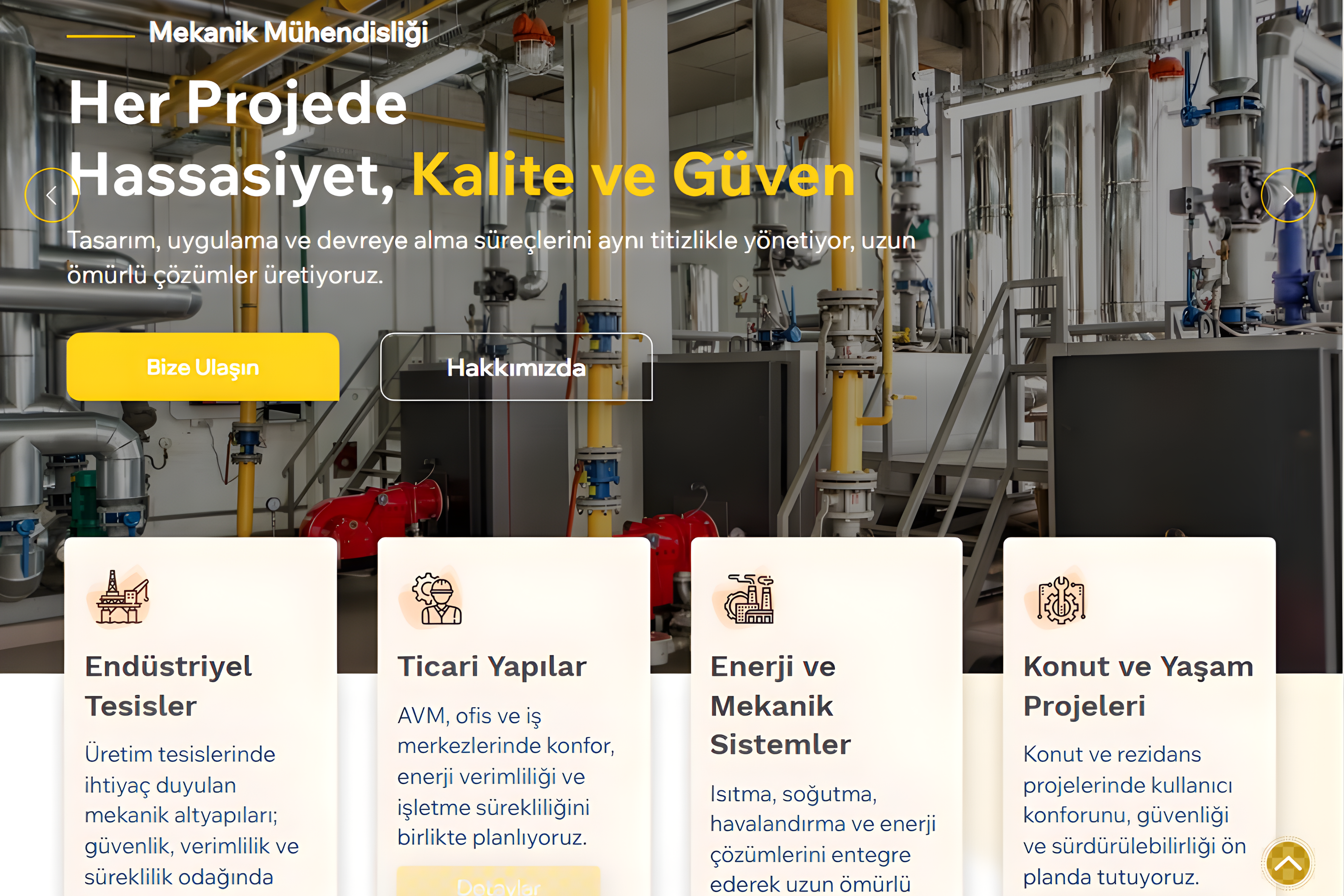 Web site tasarımı, katalog ve marka kimliği