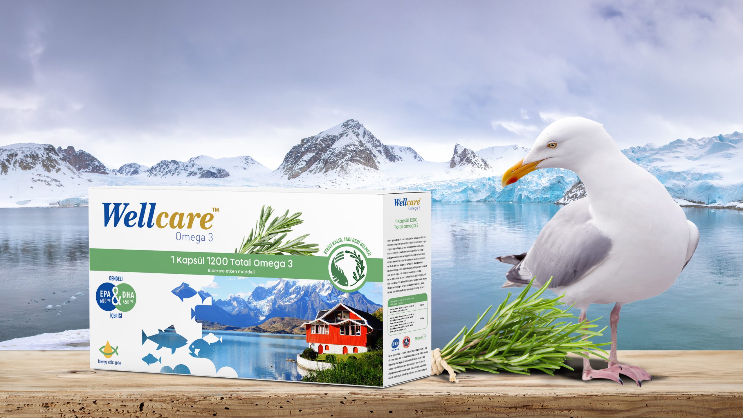 WellcareWellcareportfolyo