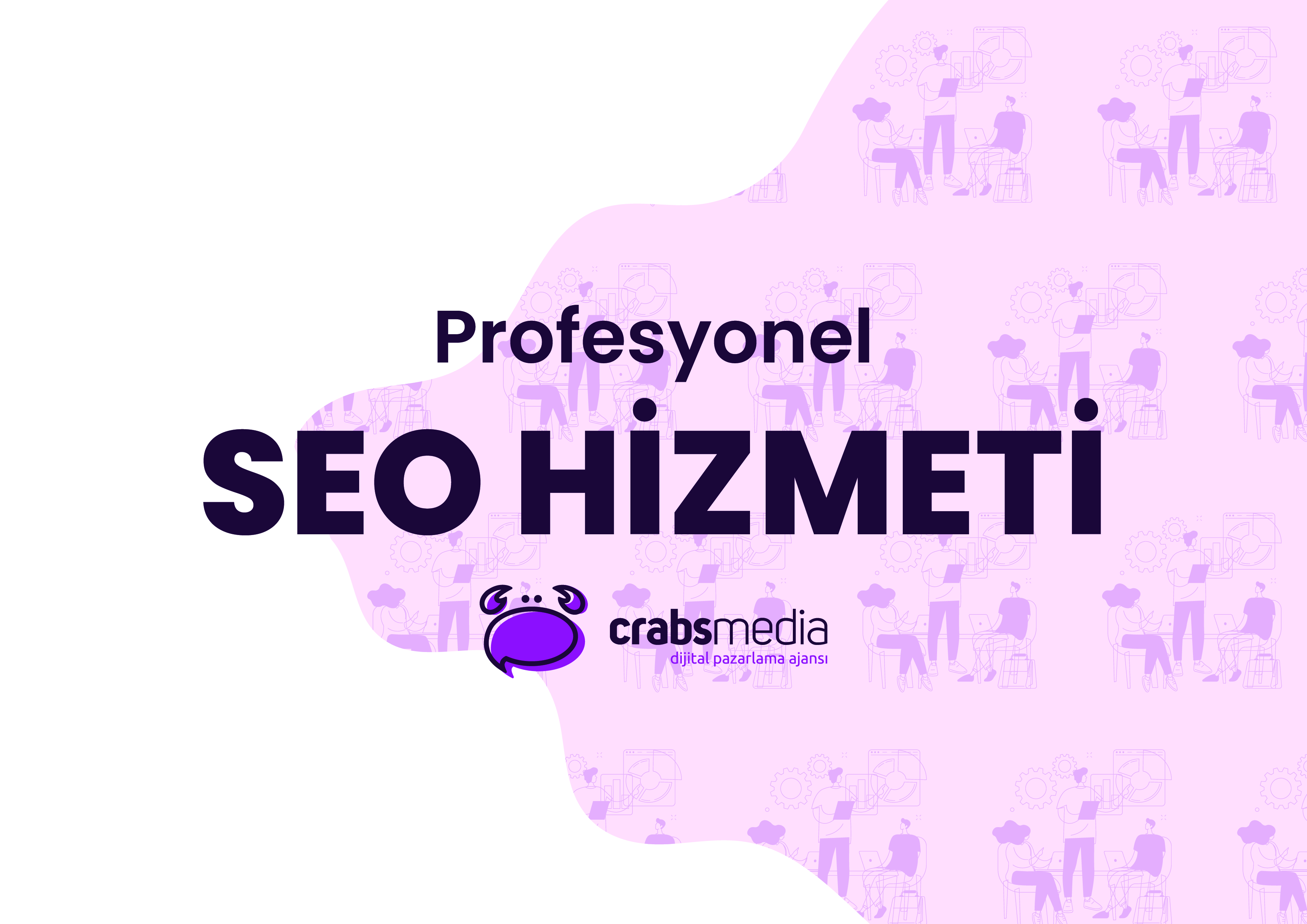 Profesyonel SEO Hizmeti