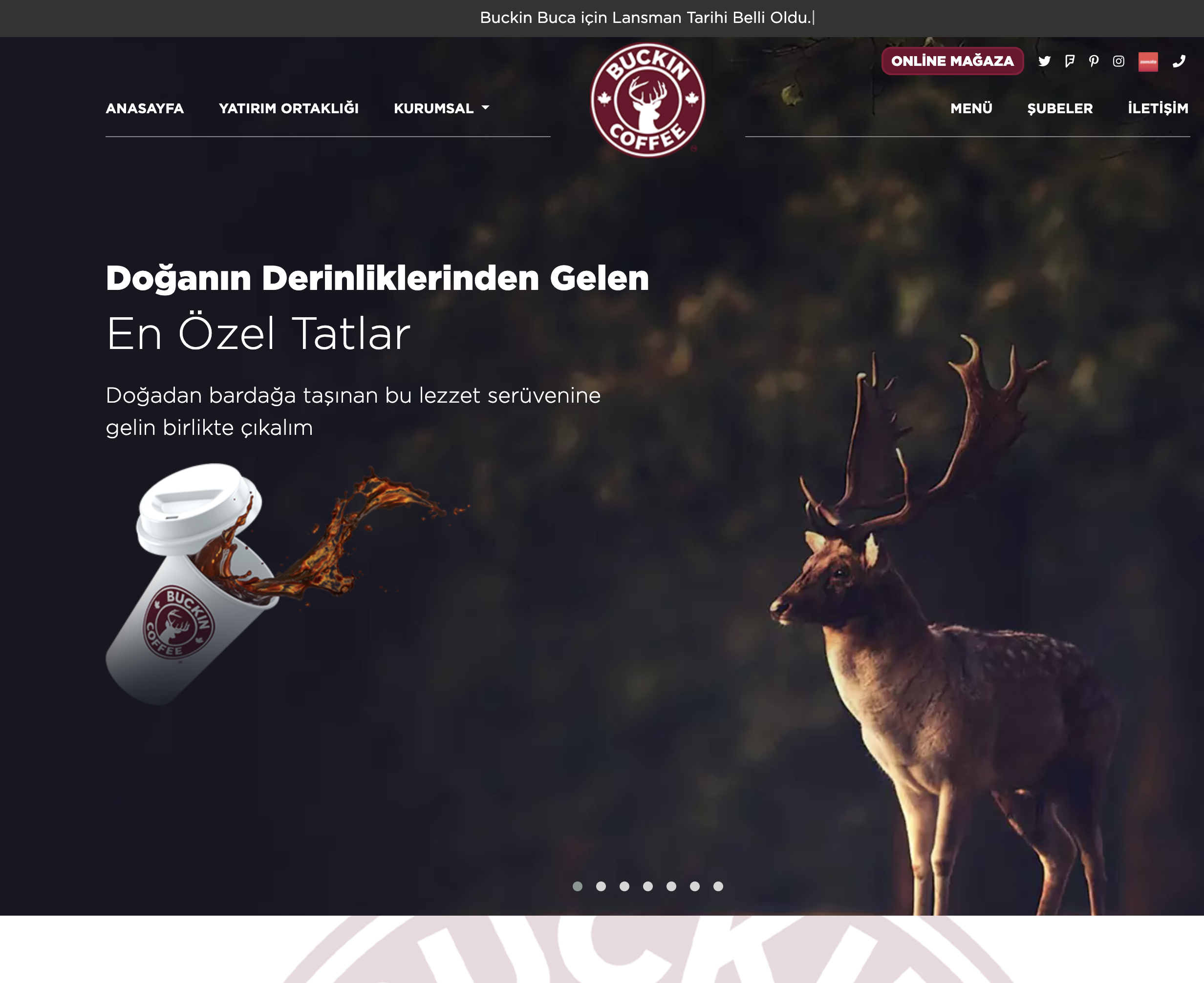 Buckin Coffee Company