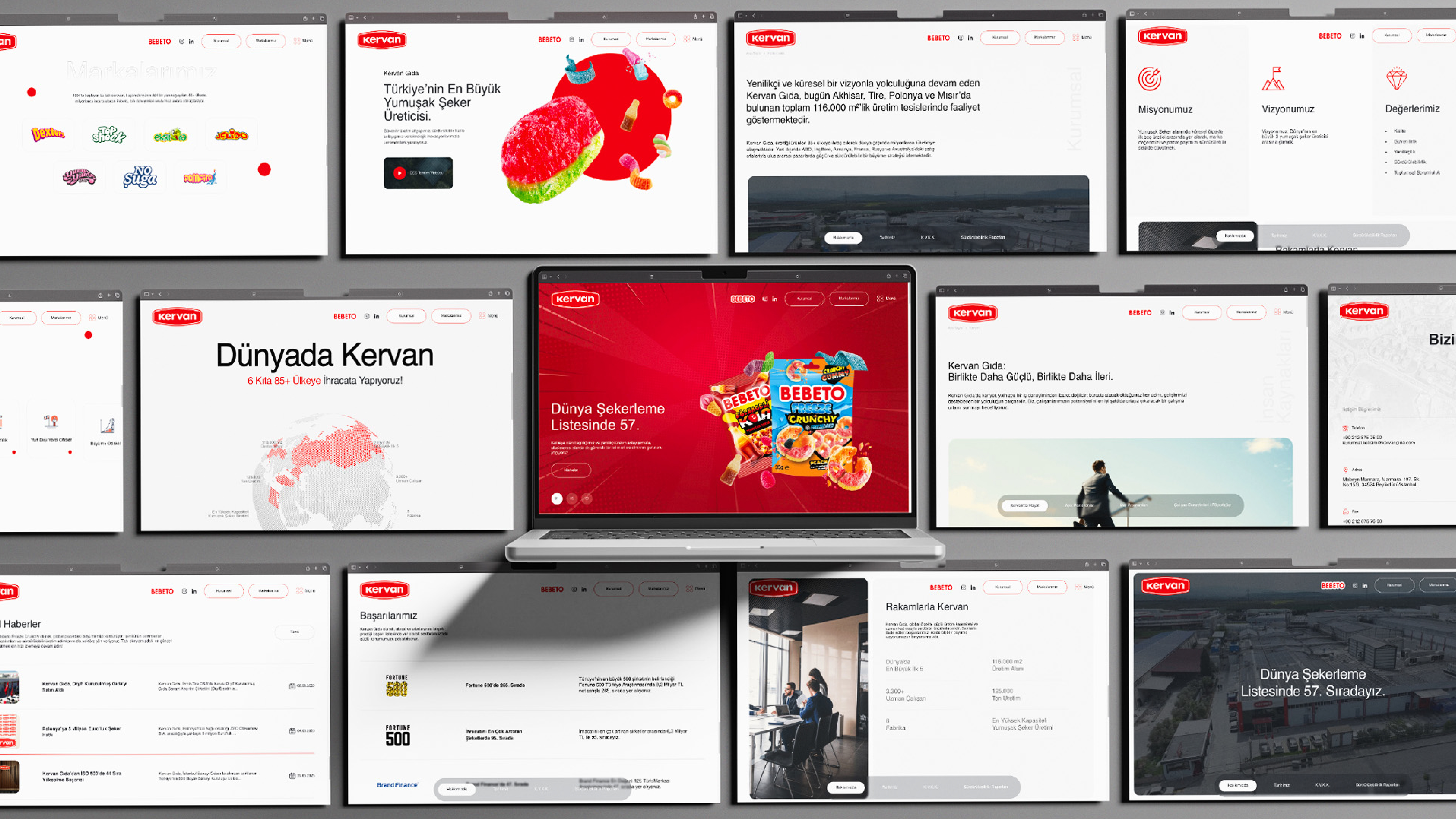 Kervan Gıda Web Sitesi Tasarımı