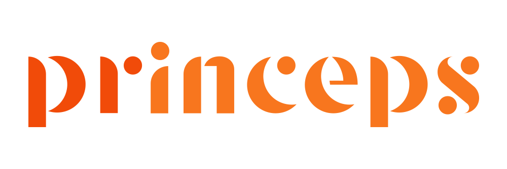 Princeps İletişim ve Proje Danışmanlık 