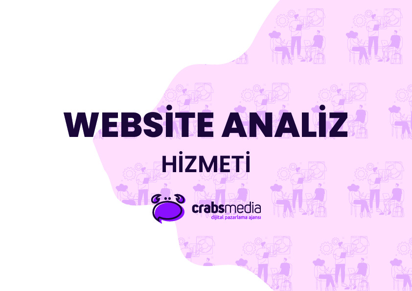 Web Site Analiz Hizmeti