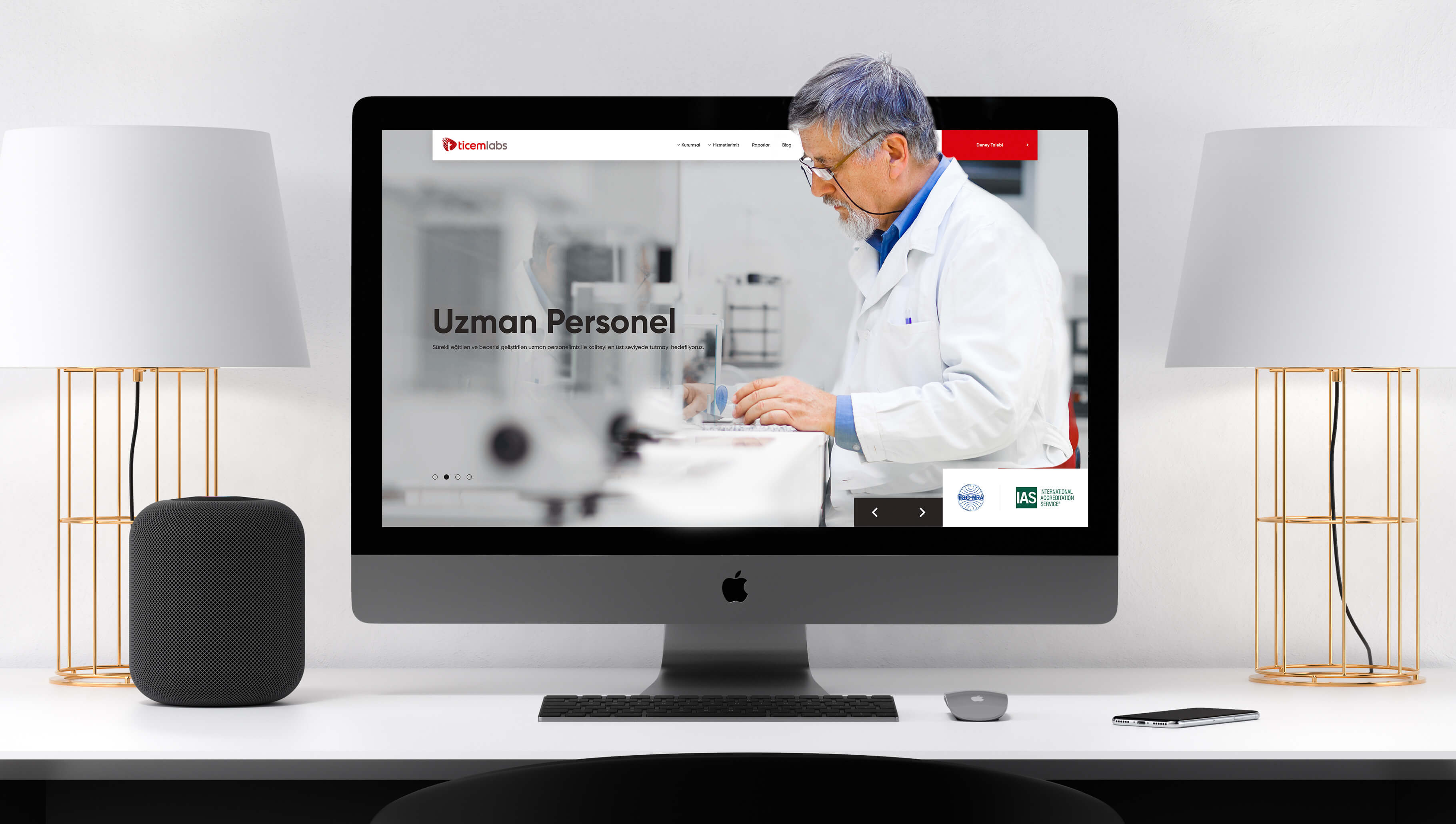 Ticemlabs UI&UX Web Projesi