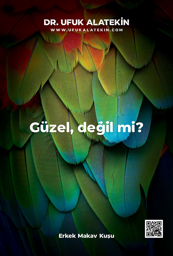 Güzel Değil Mi ?