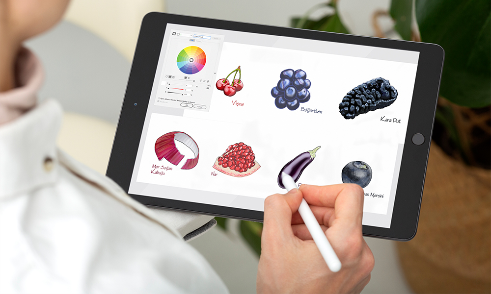 Meyvelerin İllüstrasyonu