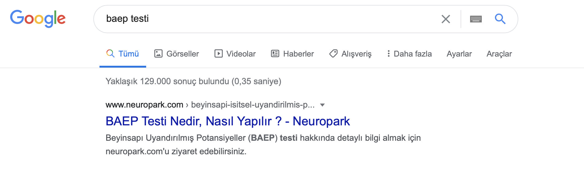 Neuropark SEO Çalışması