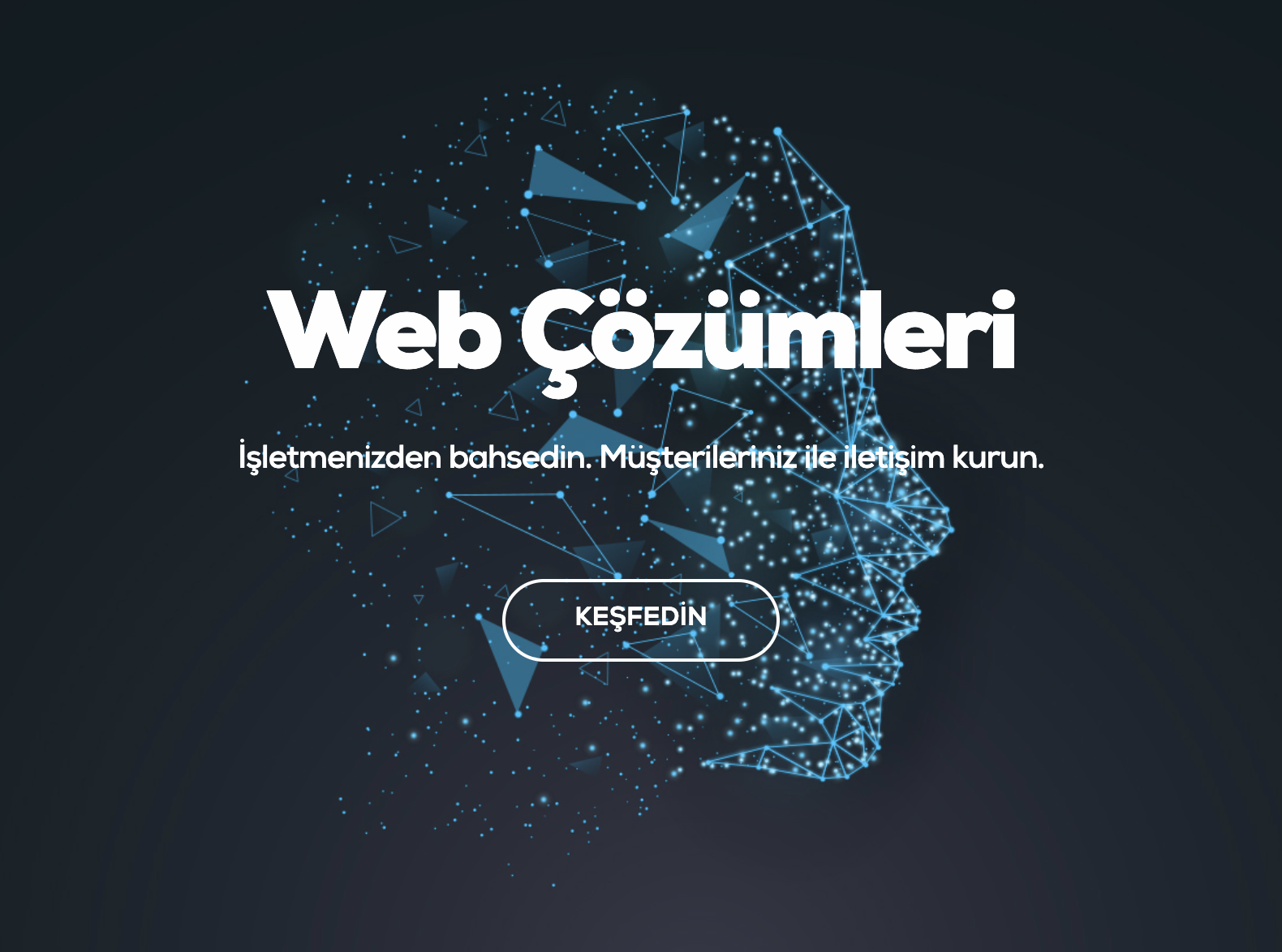 Web Sayfası Çözümleri & E-ticaret