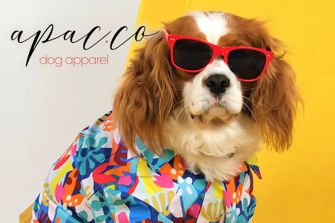 Apacco Konsept E-Ticaret