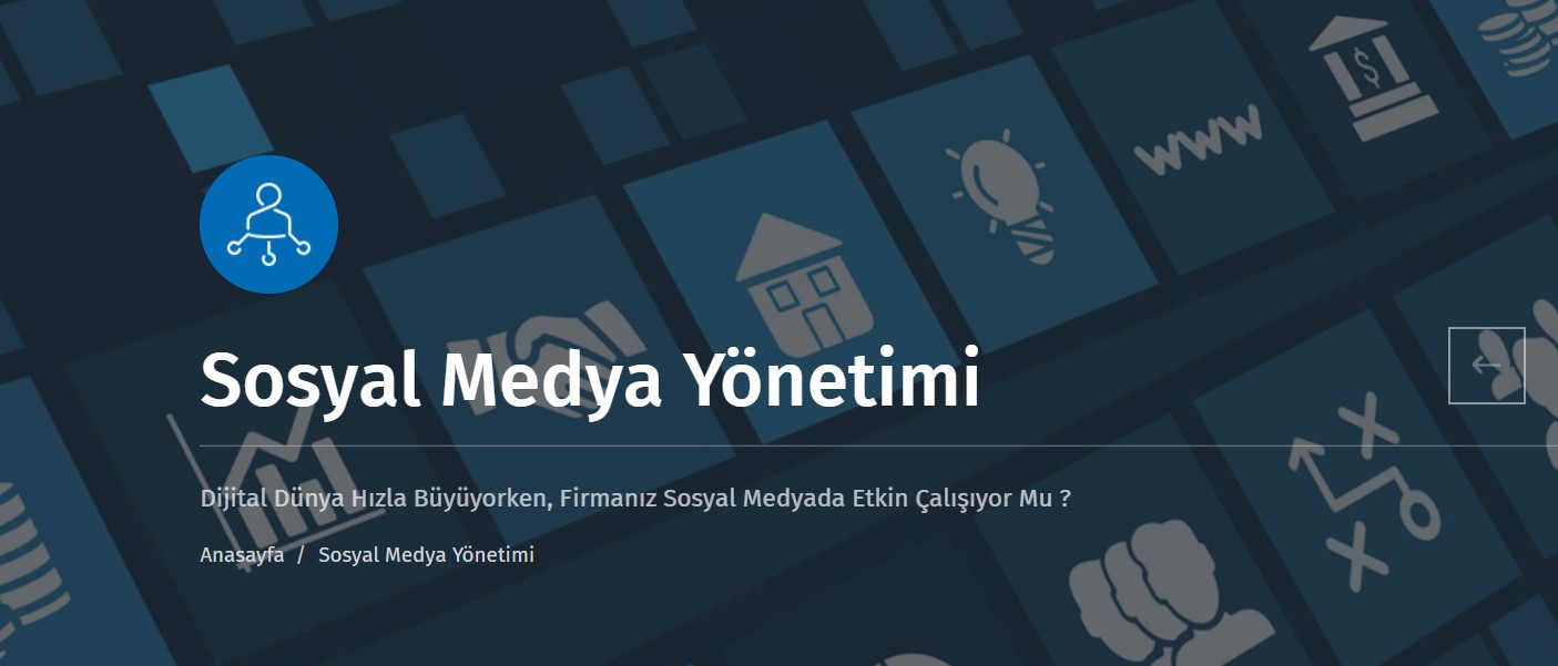Profesyonel Sosyal Medya Yönetimi