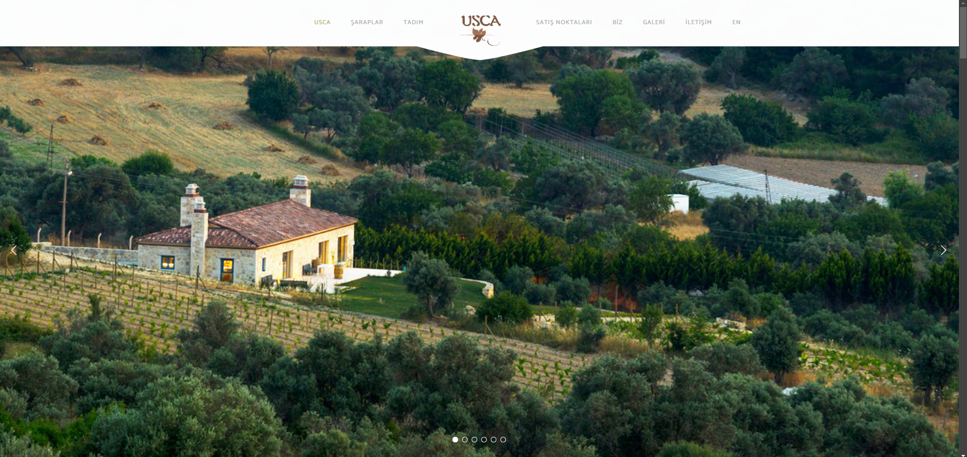 Kurumsal Web Sitesi Tasarımı