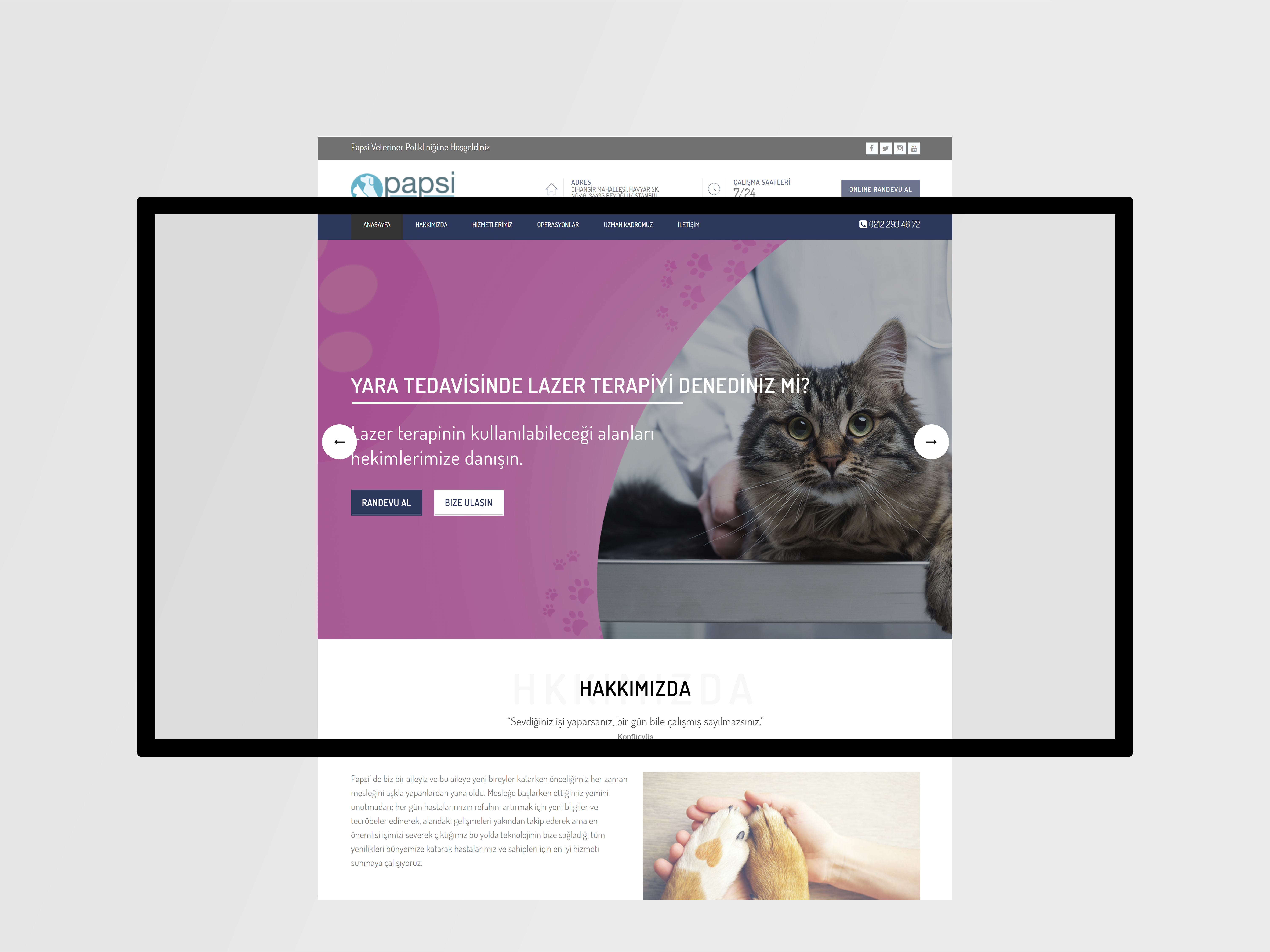 PapsiVet Web Tasarımı