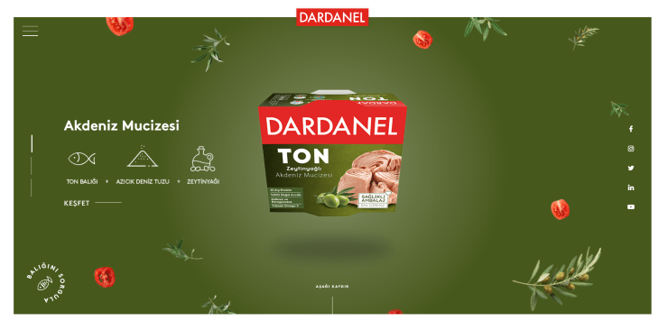 dardanel web sitesi tasarımı