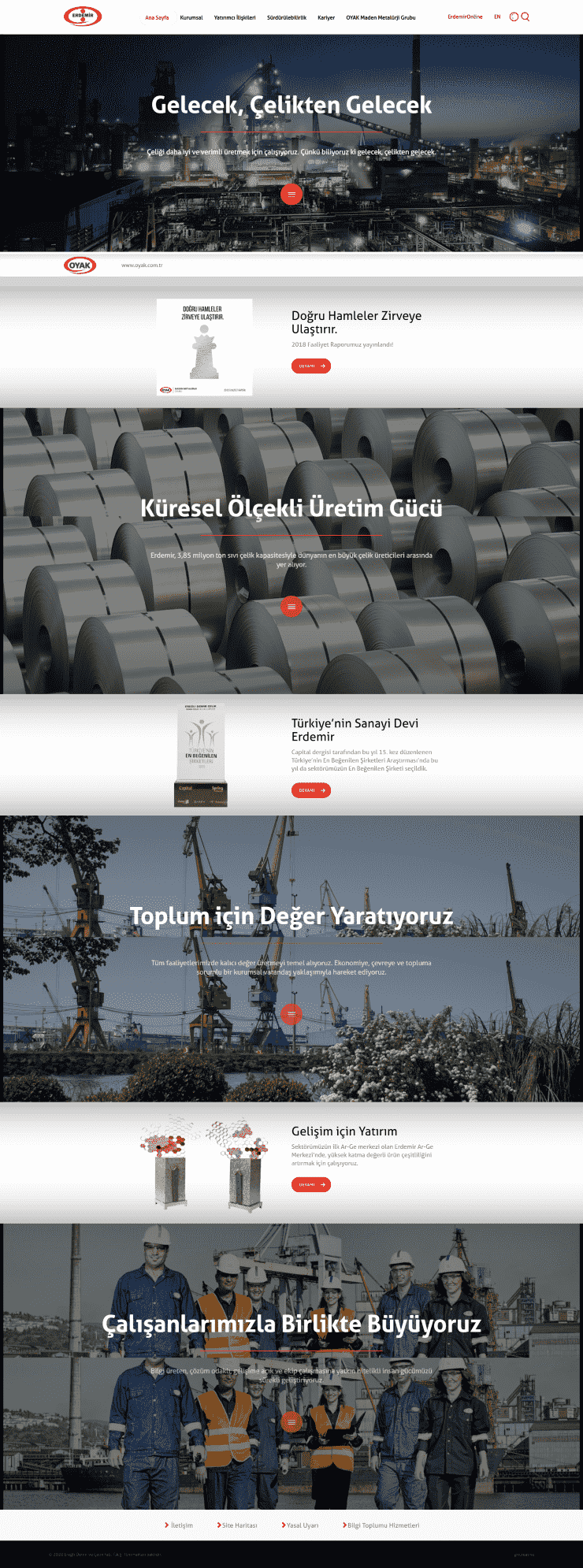 erdemir web sitesi tasarımı