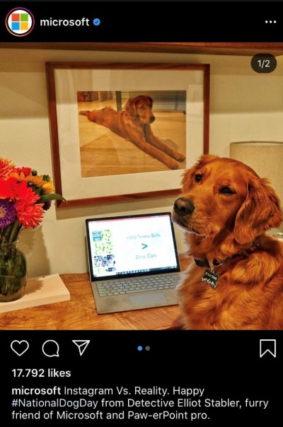 microsoft-corporate-identity-social-media-design-2