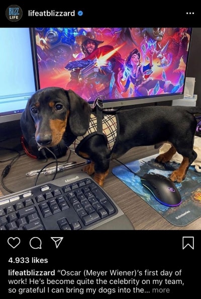 blizzard-corporate-identity-social-media-design-3