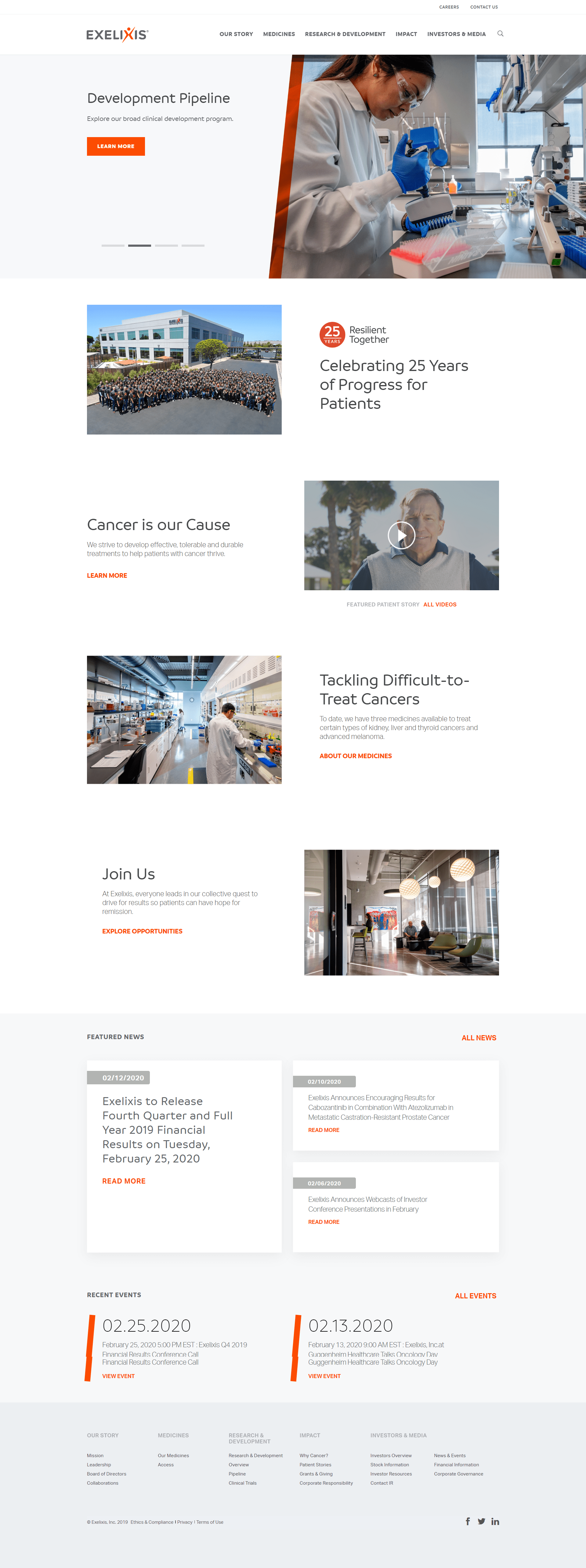 exelixis web sitesi tasarımı