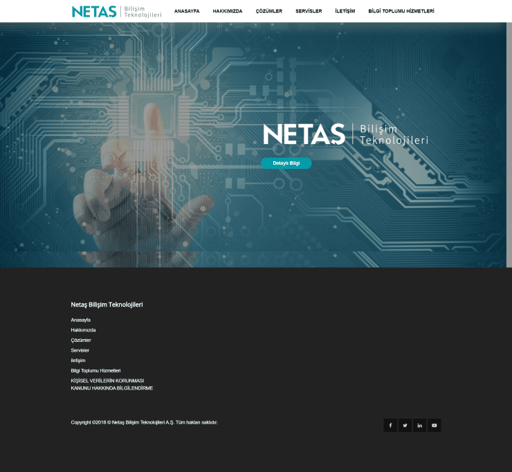 netaş web sitesi tasarımı