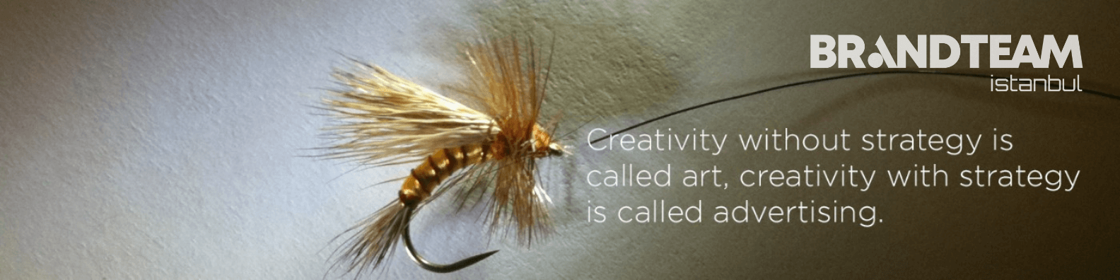 BrandTeam Group banner image