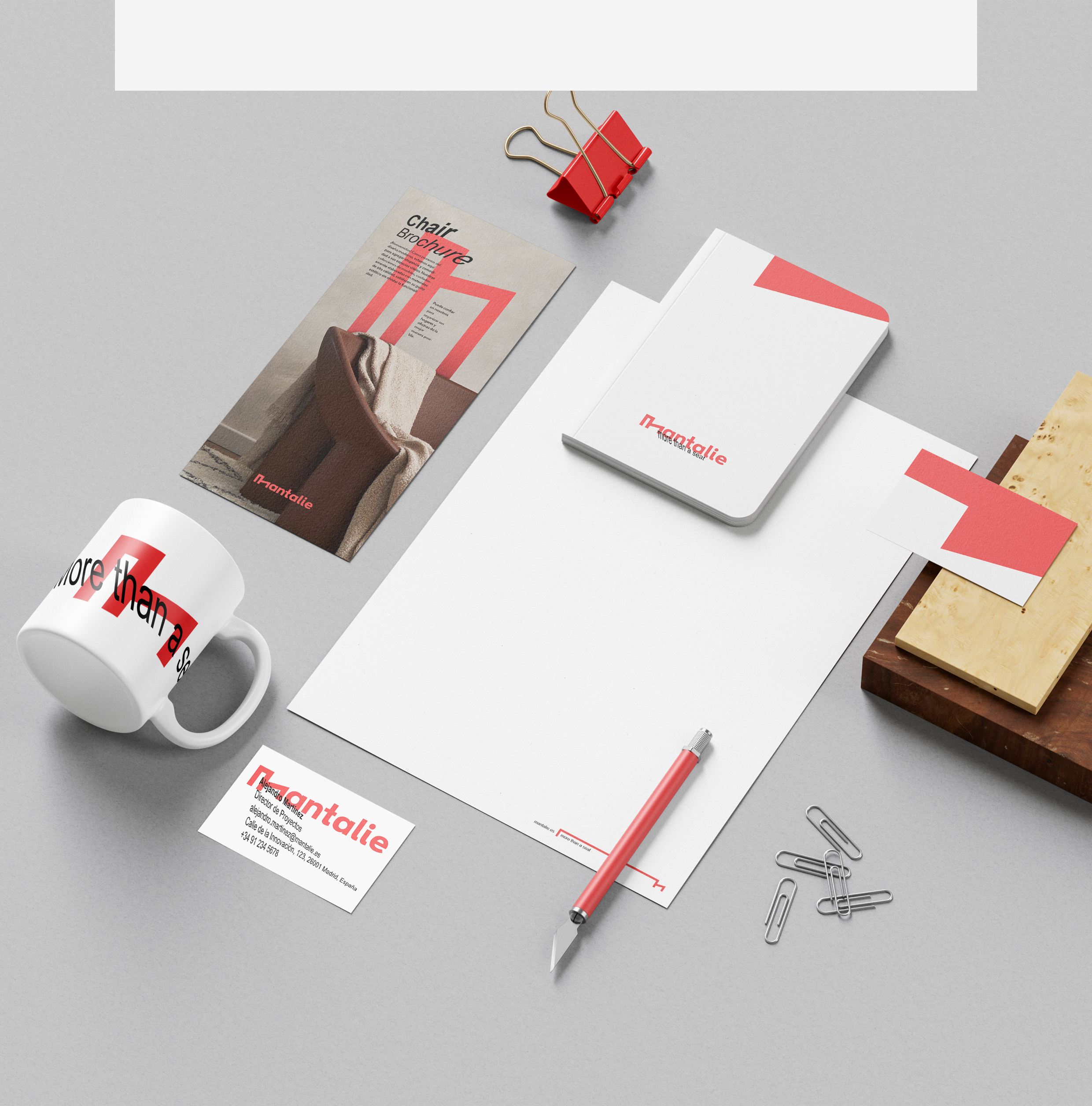 Mentalie: Logo ve Kurumsal Kimlik Tasarımı